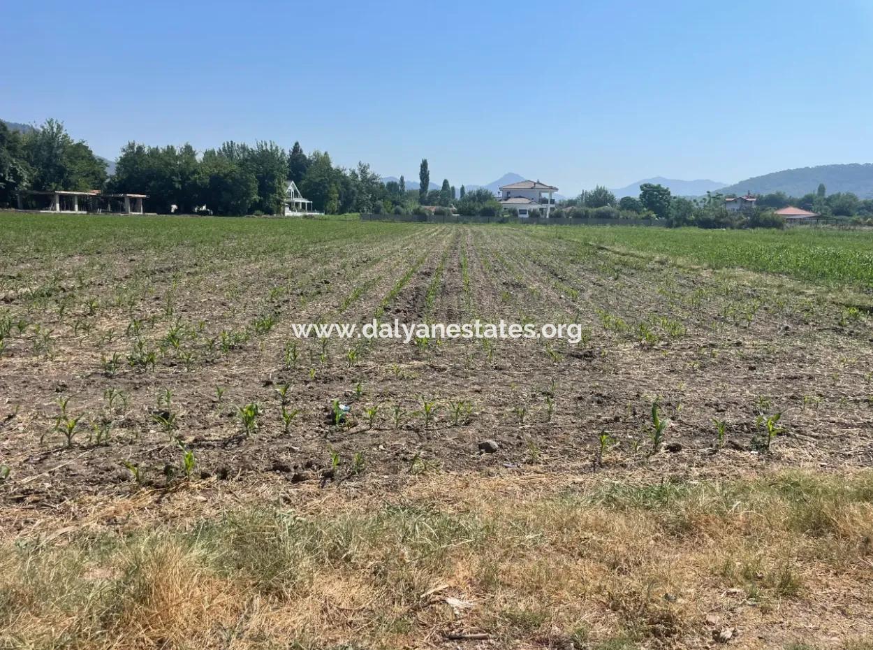Land For Sale Of 2715M2 In The Built-Up Area Of The Village In Okçular