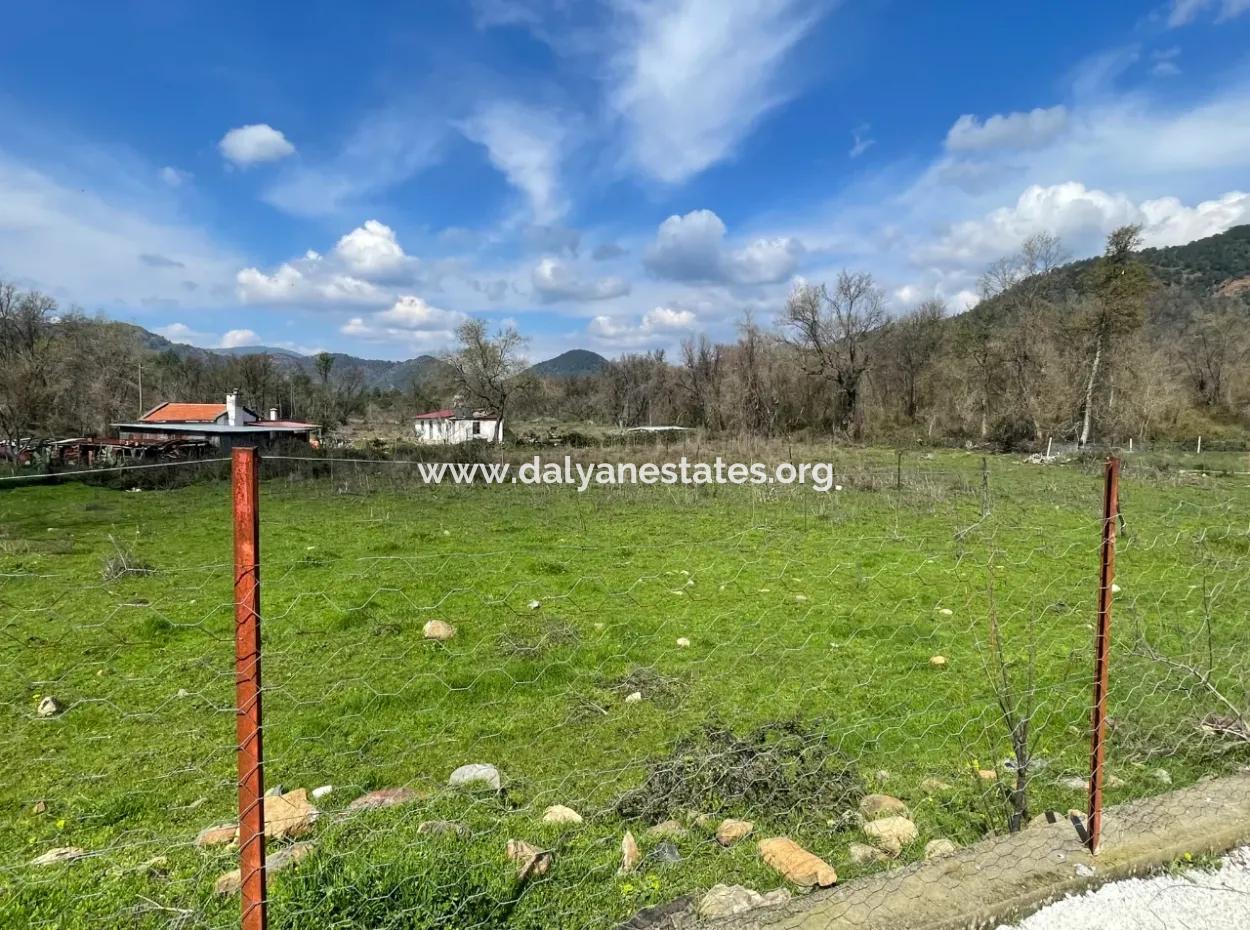 Sultaniye Büyükkaraç Mahallesin For Sale Field