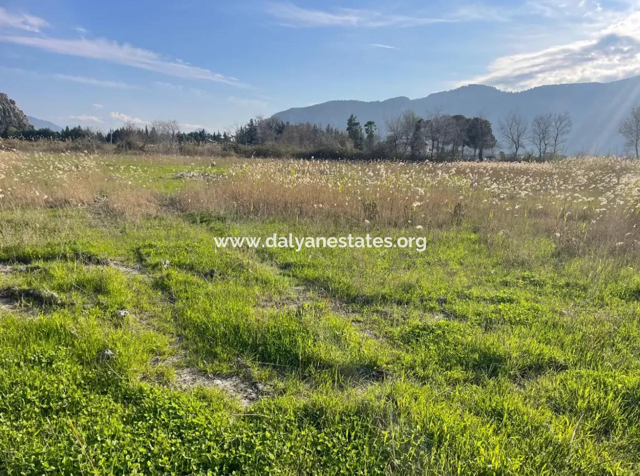 6800 M2 Land For Sale In Dalyan With 5% Residential Zoning