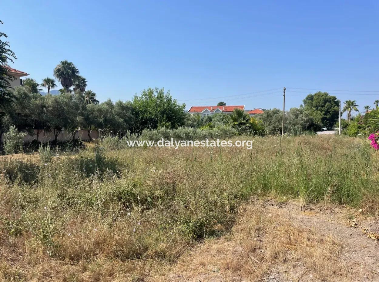 Land For Sale In Dalyan Gülpınar 500M2