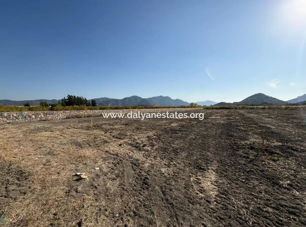 19.663M2 Farm Land And House For Sale In Eskiköy
