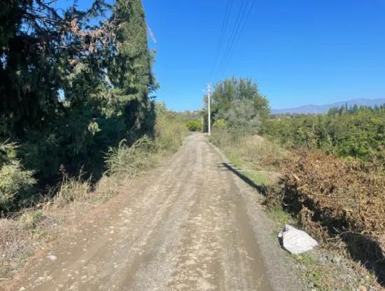 2223M2 Fields For Sale In Dalyan