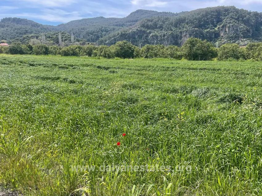 В Окчуларе 736m2 Общая Площадь 250m2 Строительная Разрешение Имеется Продается Земельный Участок