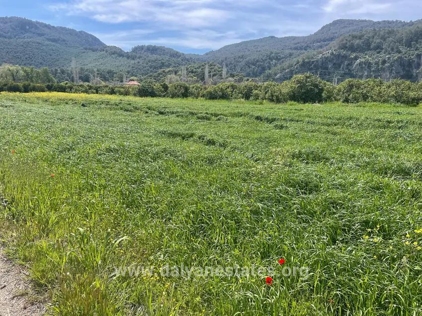 В Окчуларе 736m2 Общая Площадь 250m2 Строительная Разрешение Имеется Продается Земельный Участок