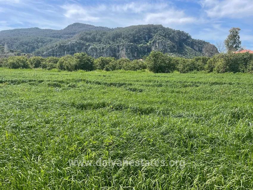В Окчуларе 736m2 Общая Площадь 250m2 Строительная Разрешение Имеется Продается Земельный Участок