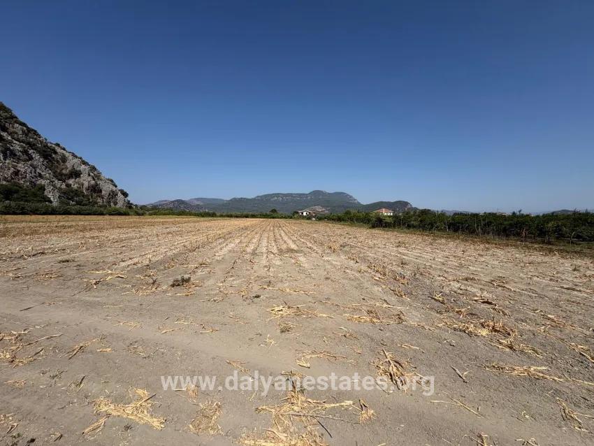 Для продажи Поле в Dalyan Ortaca - Под Поле застройку - 20.786 m²