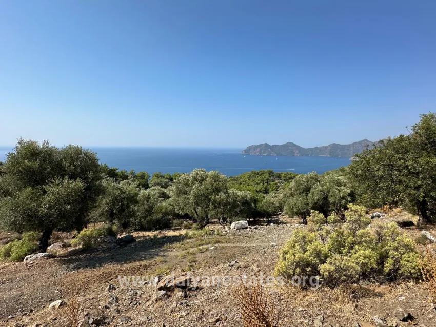 Для продажи Поле в Çandır Köyceğiz - Под Поле застройку - 21.000 m²