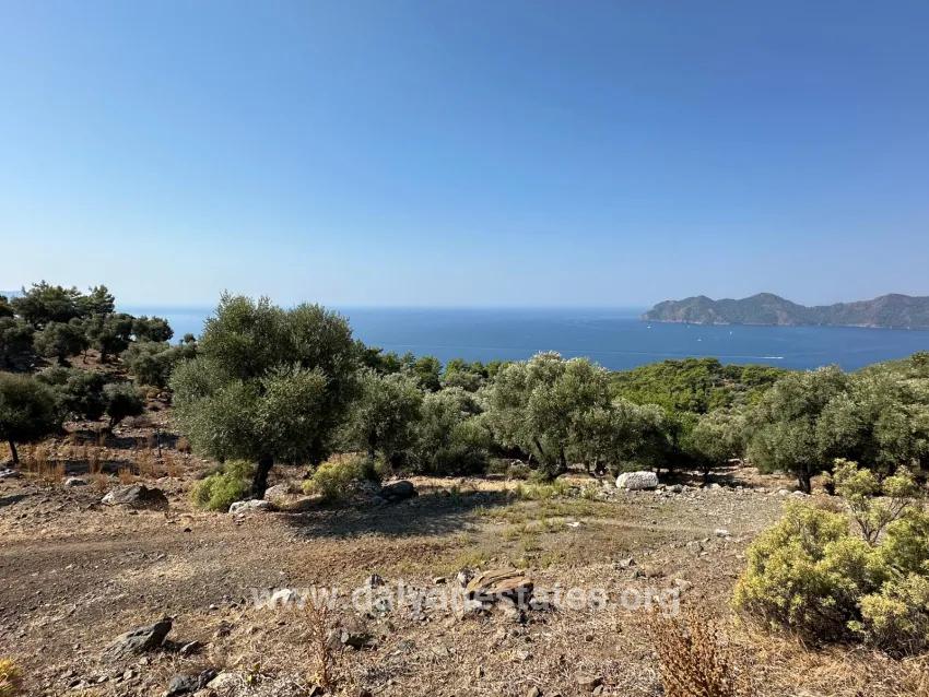 Для продажи Поле в Çandır Köyceğiz - Под Поле застройку - 21.000 m²