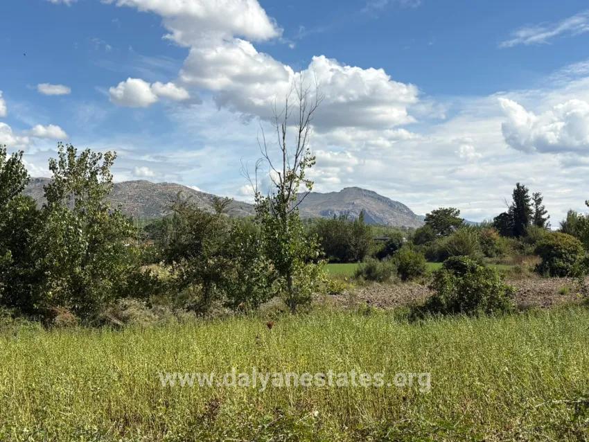 Для продажи Поле в Zeytinalanı Köyceğiz - Под Поле застройку - 10.500 m²
