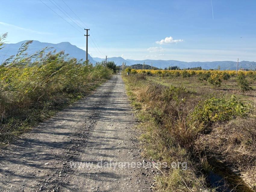 Для продажи Поле в Eskiköy Ortaca - Под Поле застройку - 21.500 m²