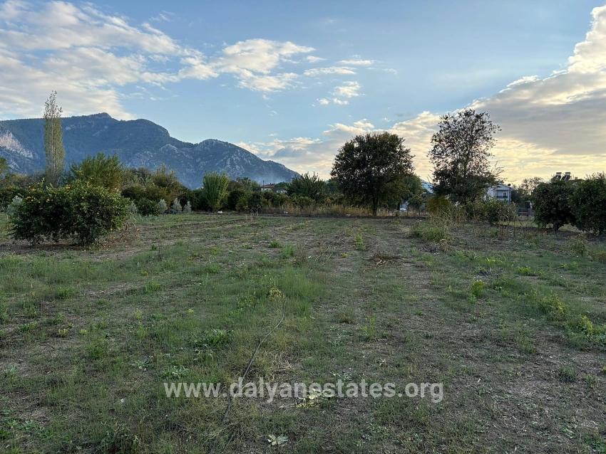 Для продажи Сюжет в Dalyan Ortaca - Под Жилье застройку - 7.450 m²