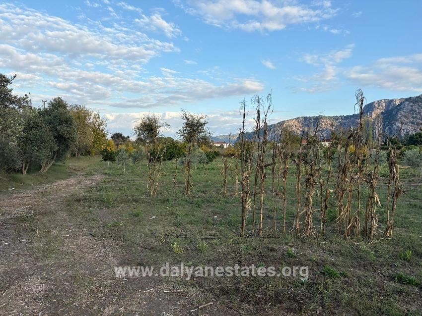 Для продажи Сюжет в Dalyan Ortaca - Под Жилье застройку - 7.450 m²