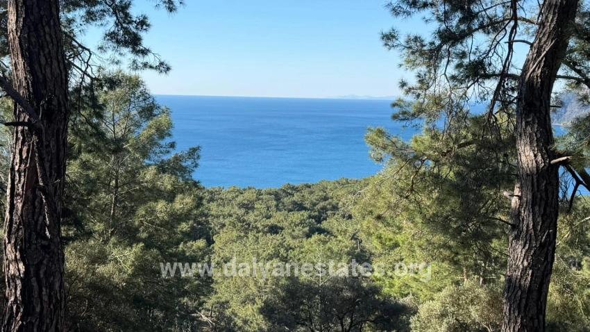 Для продажи Поле в Çandır Köyceğiz - Под Жилье застройку - 5.715 m²