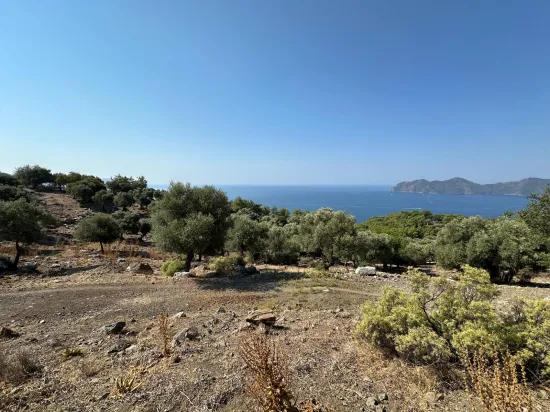 В Çandır с видом на море 21.000 m2 продаётся 2b поле