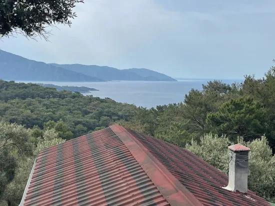 Köyceğiz Ekincik масличный сад с видом на море 7.000m2 2b на продажу