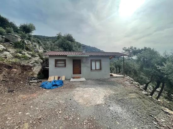 Köyceğiz Ekincik масличный сад с видом на море 7.000m2 2b на продажу