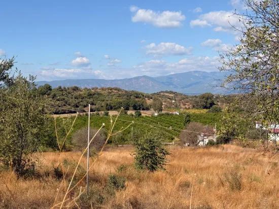 Поле площадью 5.000m2 с видом на озеро в Dalyan Karadağ продаётся