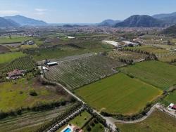 Для продажи Виноградник и сад в Dalyan Ortaca - Под Виноградник и сад застройку - 17.550 m²