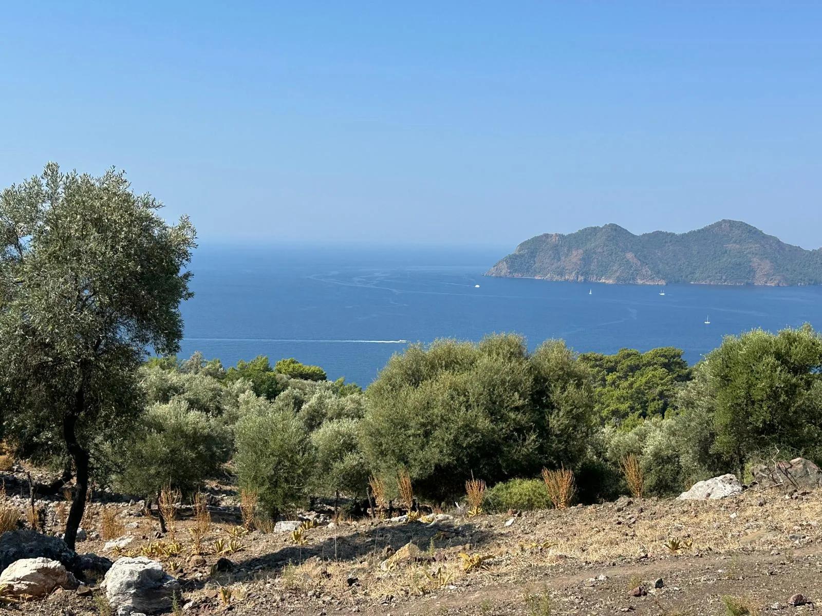 Çandır'da deniz manzaralı 21.000 m2 satılık 2b tarla