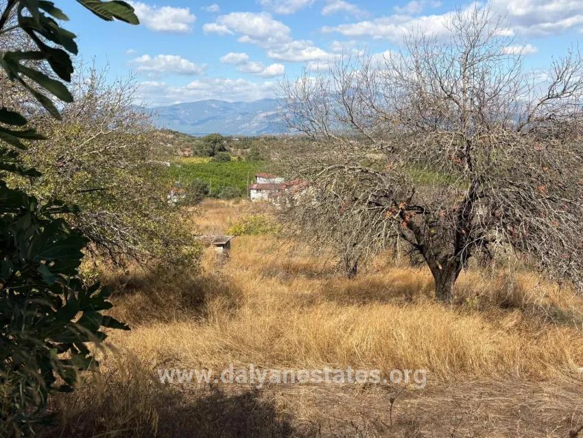 Ortaca Dalyan Mah. Satılık Tarla - Tarla İmar Durumlu - 5.000 m²