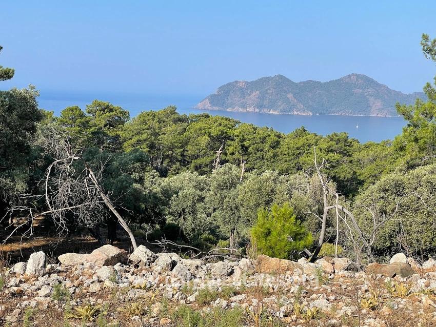Köyceğiz Çandır Mah. Satılık Tarla - Konut İmar Durumlu - 10.481 m²