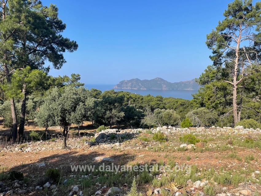 Köyceğiz Çandır Mah. Satılık Tarla - Konut İmar Durumlu - 10.481 m²