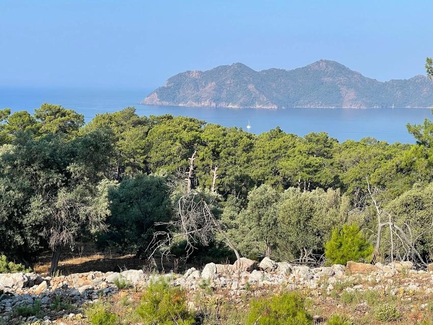 Köyceğiz Çandır Mah. Satılık Tarla - Konut İmar Durumlu - 10.481 m²