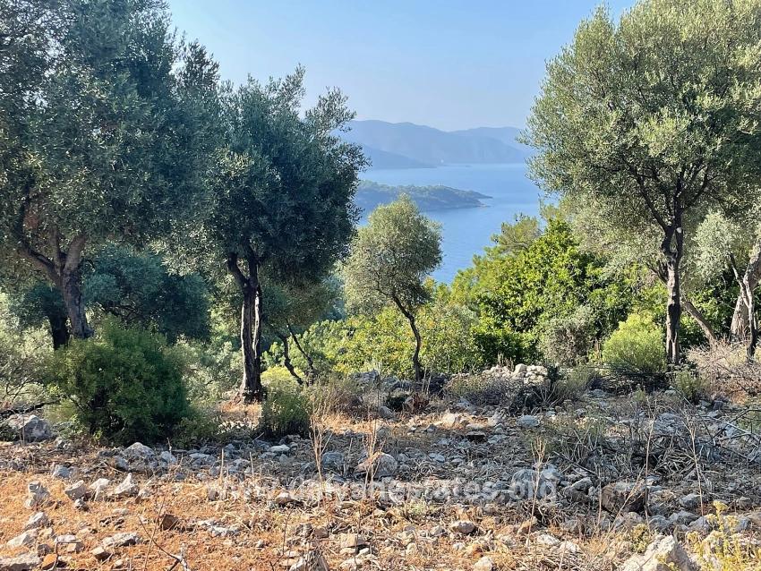 Köyceğiz Çandır Mah. Satılık Tarla - Konut İmar Durumlu - 10.481 m²