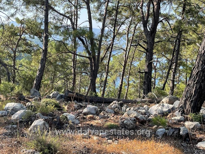 Köyceğiz Çandır Mah. Satılık Tarla - Konut İmar Durumlu - 10.481 m²