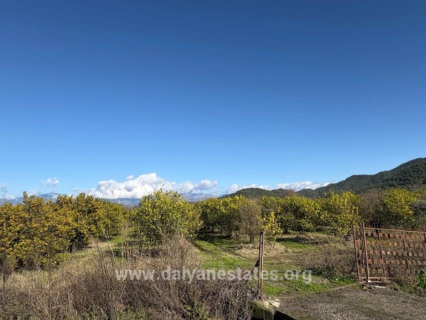 Tepearası'nda 23000m2 Müstakil Satılık Tarla