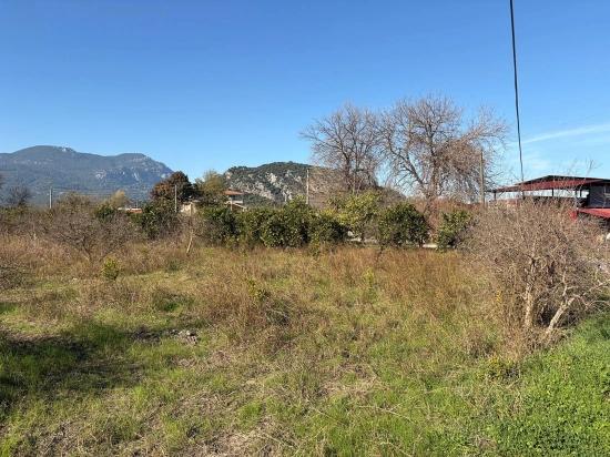 Dalyan'da 4.541m2 Satılık Bahçe