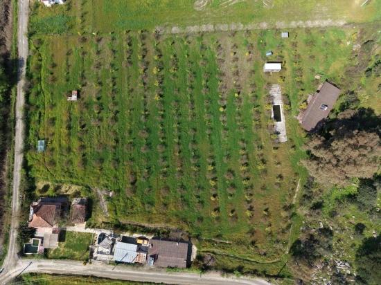 Eskiköy'de 11,000m2 Arsa İçinde Turizm Amaçlı İşletme Satılık