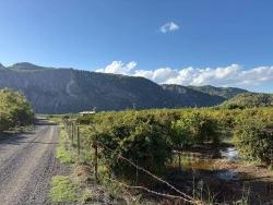 Ortaca Yeşilyurt Mah. Satılık Arsa - Konut İmar Durumlu - 3.999 m²
