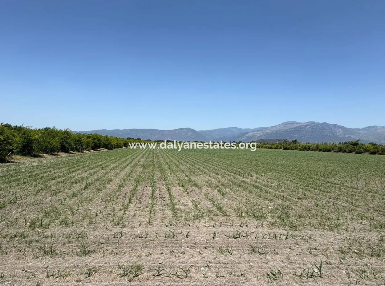 Tepearası'nda 46,550M2 Satılık Tarla