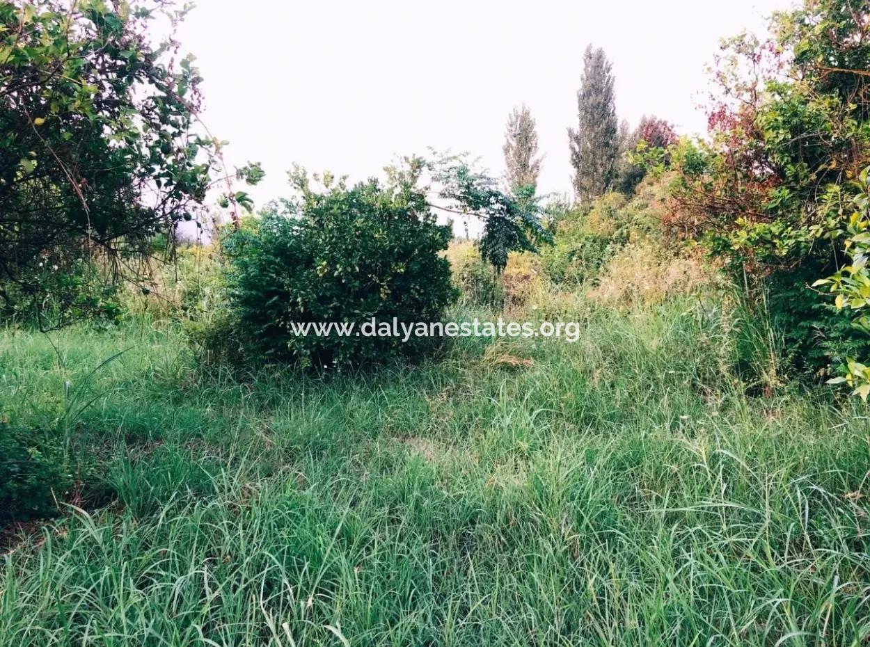 Okçularda Satılık Arsa Okçular Marmarlı Satılık  1,500M2 Satılık Arsa