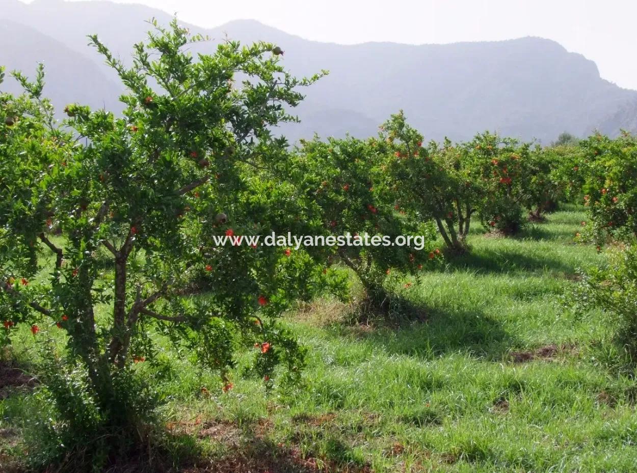 Dalyan İztuzu Satılık Bahçe Dalyan Göle Sıfır Satılık Arsa