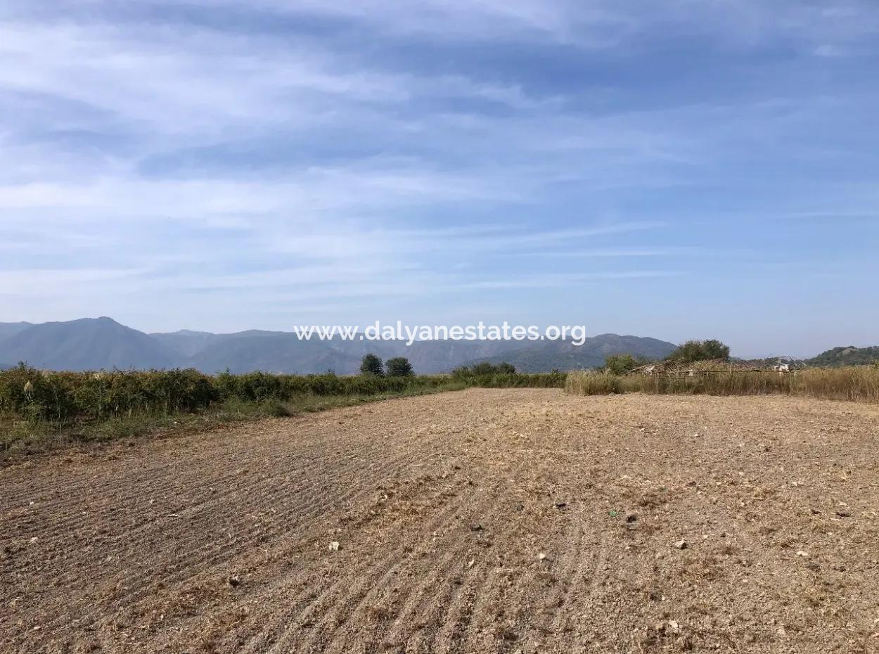 Esköyde Satılık Tarla Arsa 8500M2 Satılık Tarla Arsa