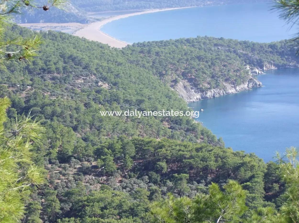 Ekincik Çandır Arasın'da Deniz Manzaralı Kelepir Emlak Satılık Arsa