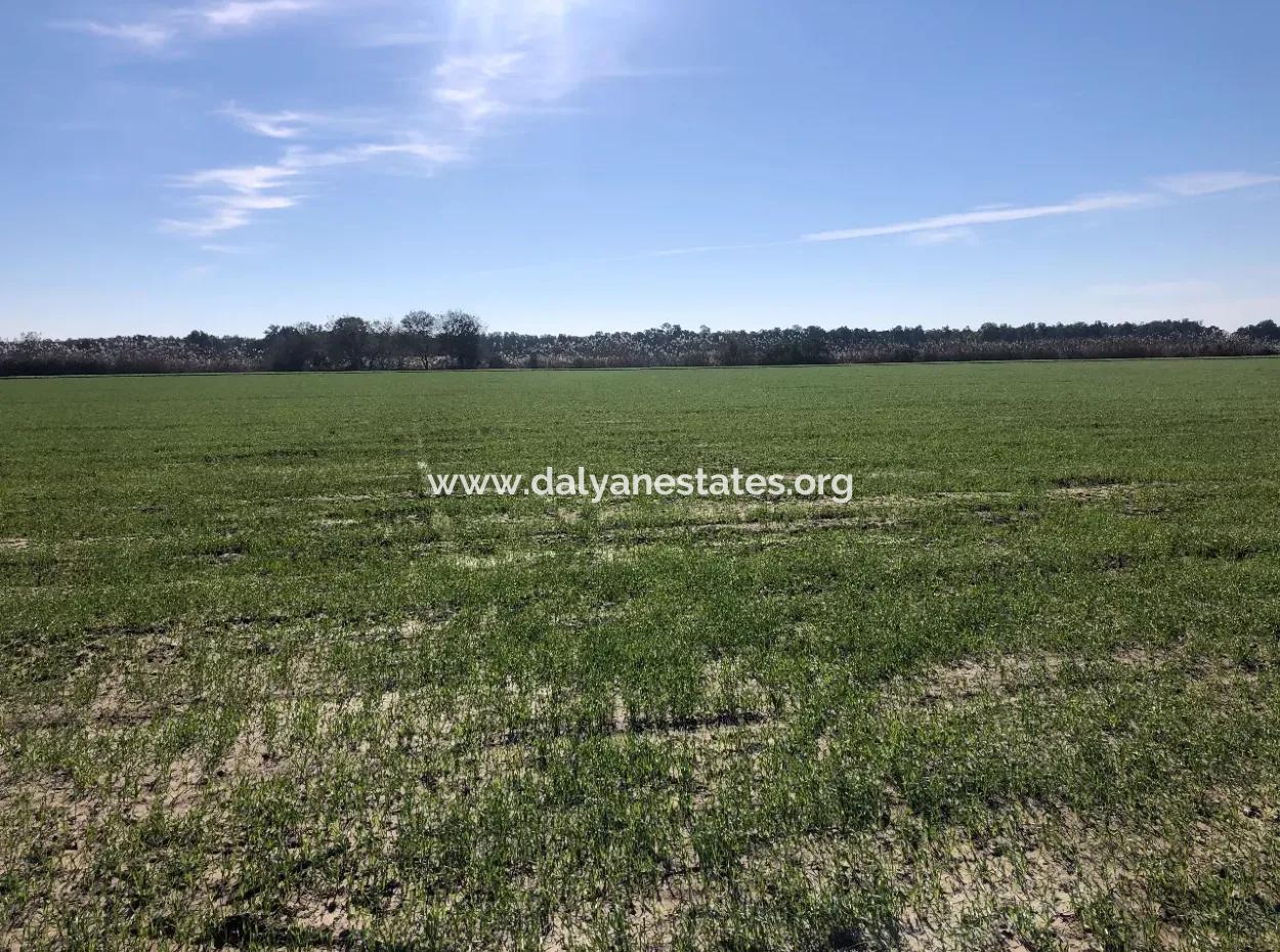 Sarıgermede Satılık Arsa Deniz Manzaralı 30,000M2 Satılık Arsa