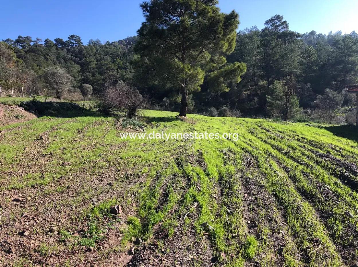 Gökbel Satılık Arsa Full Deniz Manzaralı 8000M2 Satılık Arsa