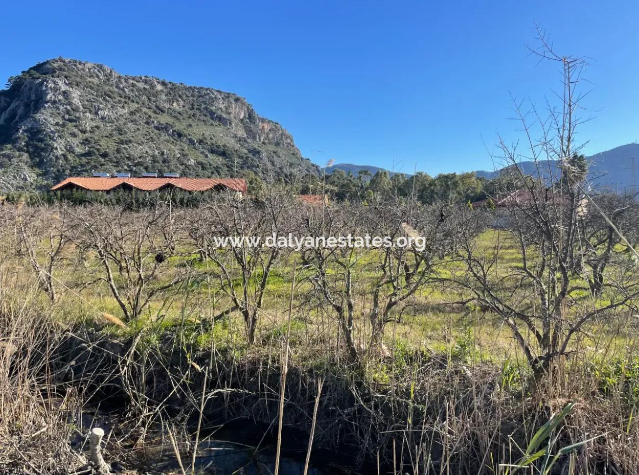 Dalyan İztuzu Yoluna Sıfır 5216M2 Satılık Tarla Arsa