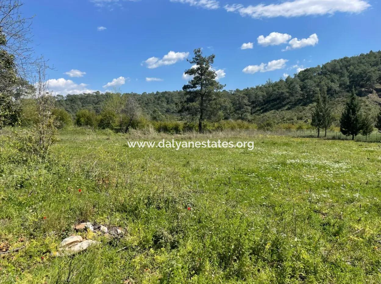 Zeytinalanın'da 5650M2 Tarla İçinde Satılık Köy Evi