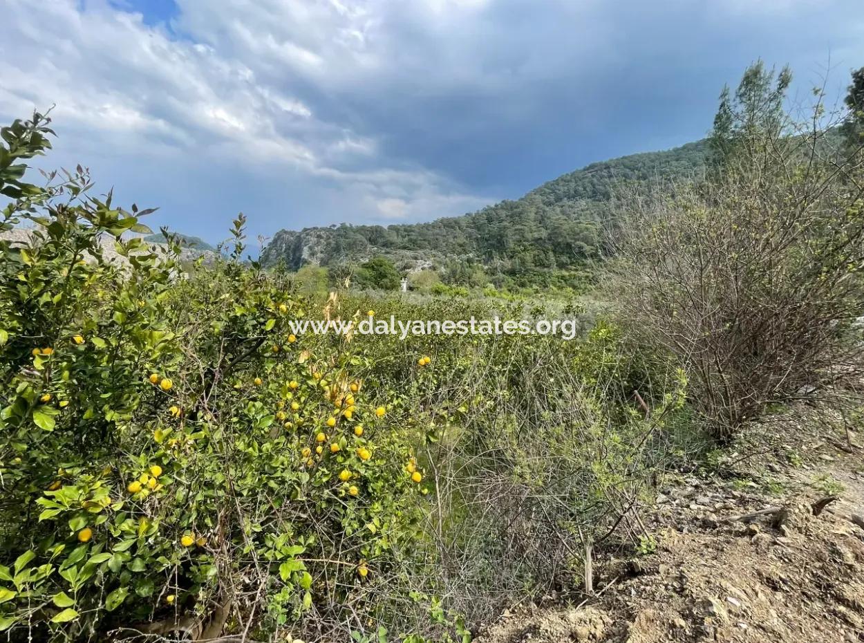 Çandır'da Yola Sıfır 5000M2 Satılık Tarla