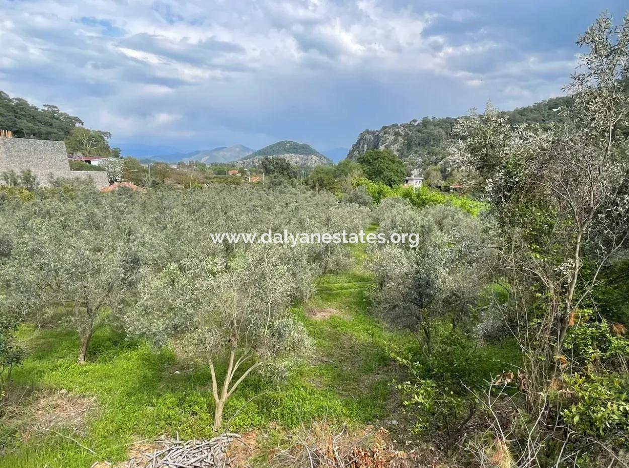 Çandır'da Yola Sıfır 5000M2 Satılık Tarla