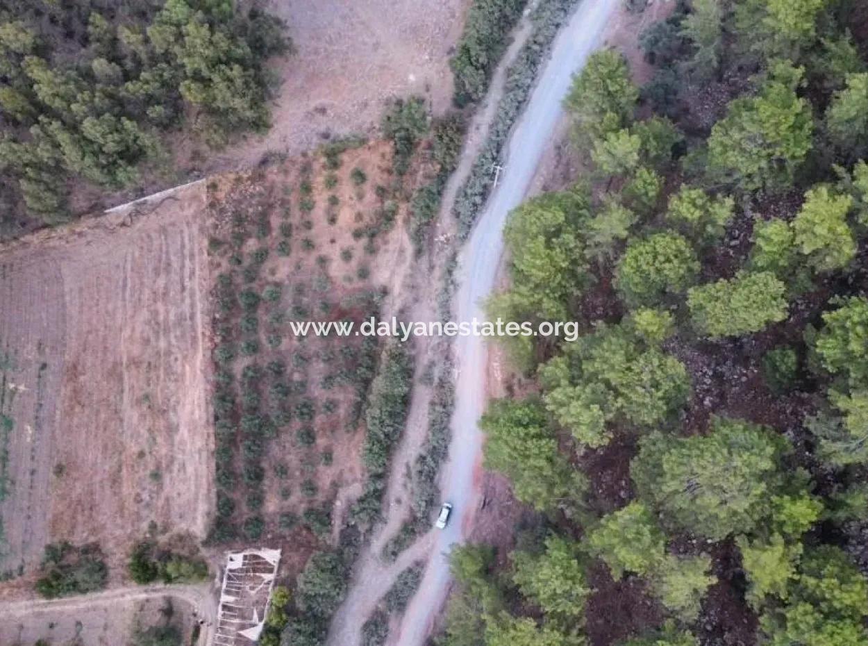 Mergenlide Aşı Koyu Yolu Üzerinde Satılık 3578M2 Tarla