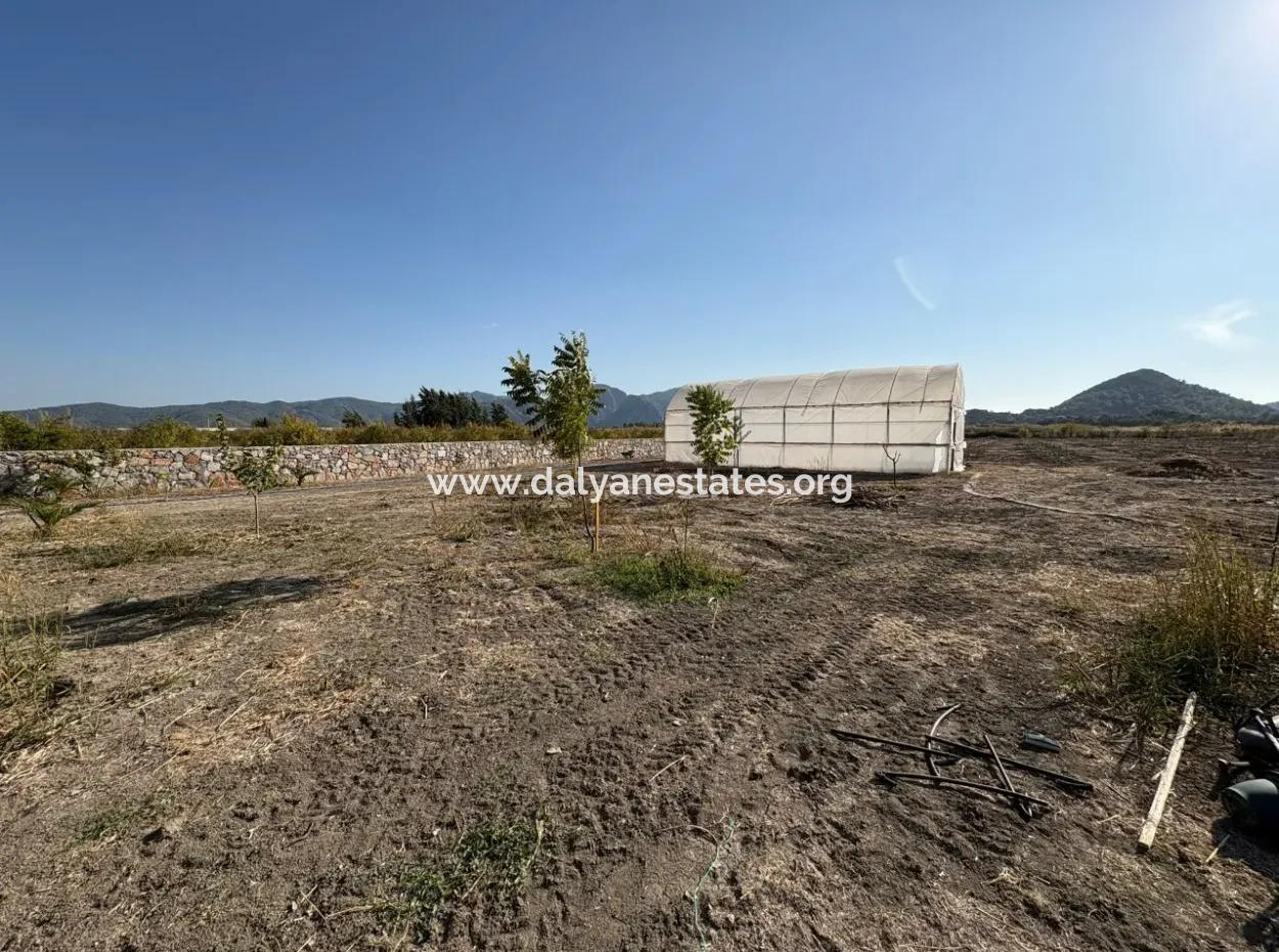 Eskiköy'de 19.663M2 Çiftlik Arazisi Ve Ev Satılıktır